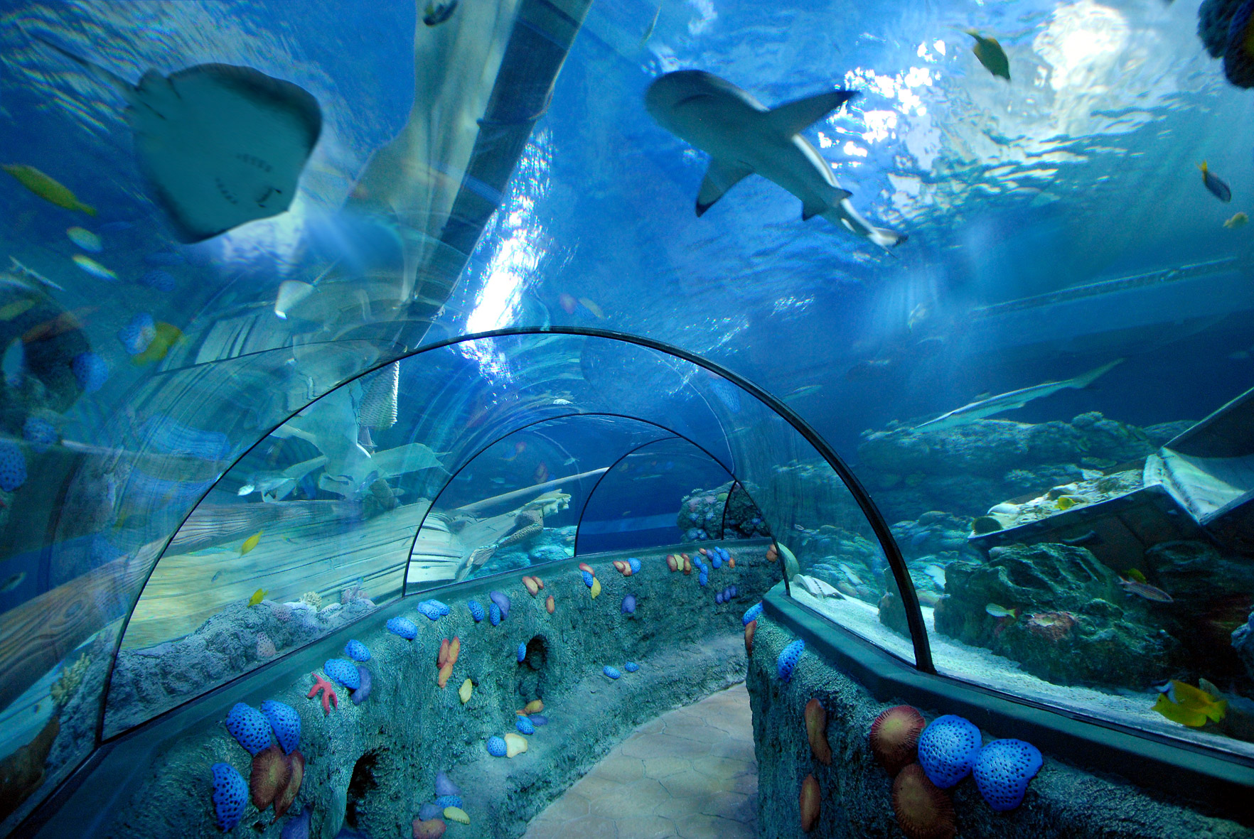 Gardaland Sea Life Aquarium